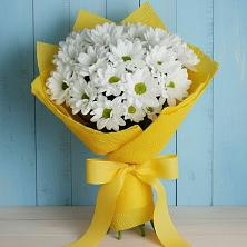 Букет цветов из:  Хризантемы в Белый Колодезь