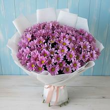 Букет цветов из:  Хризантемы в Белый Колодезь