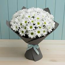 Букет цветов из:  Хризантемы #REPLACE_PRED# Белый Колодезь