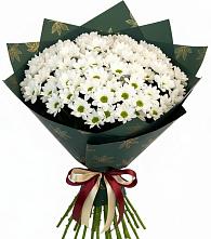 Букет цветов из:  Хризантемы в Белый Колодезь