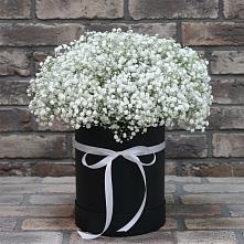 Цветочная композиция из Гипсофила в шляпной коробке в Белый Колодезь