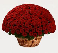 Премиум букет из: Розы в Белый Колодезь