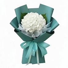 Букет цветов из:  Гортензия в Белый Колодезь
